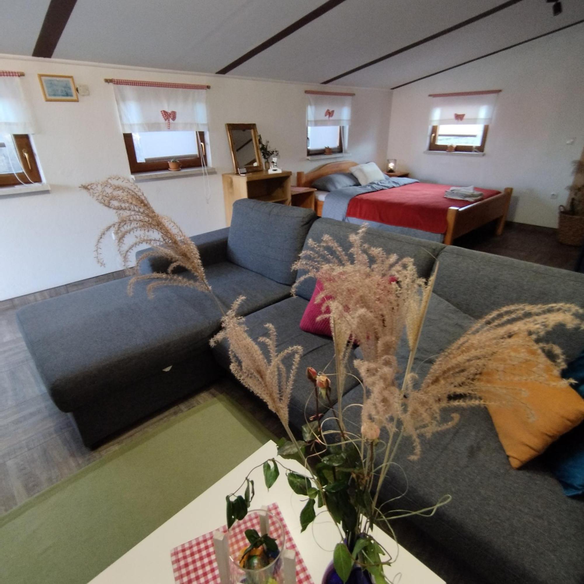 Holiday Home Novak M Sveti Martin Na Muri Buitenkant foto